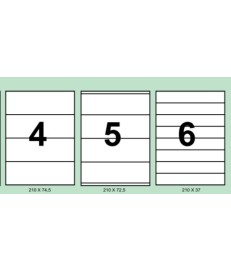 ETIQUETAS ADHESIVAS BLANCAS DIN-A4 (CAJA 500 HOJAS)